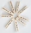 50 Stk. W�scheklammer aus Buchenholz, Qualit�ts-Produkt mit starker, rostfreier Spiralfeder