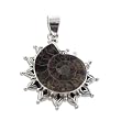 Large Ammonite Fossil Seashell set in Sterling Silver Pendant