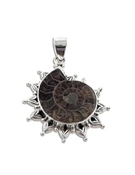 Large Ammonite Fossil Seashell set in Sterling Silver Pendant