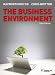The Business Environment