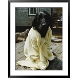 A Dog That Has Just Had a Bath National Geographic Collection Framed Art Poster Print by... by 