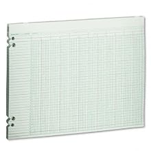 Wilson Jones Green Columnar Ruled Ledger Paper, Double Page Format, 20 Columns and 36 Lines per Page, 11 x 14 Inches, 100 Sheets per Pack (WG30-20A)