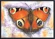 Art Poster Metal Framed Print - Butterflies of the World - Artist: Tiffany Budd- Poster Size: 27 X 19