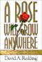A Rose Will Grow Anywhere: Renewing Your Confidence That God Works All Things Together for Good
