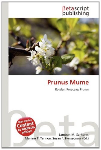 PRUNUS MUME