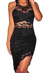 Spring Summer Winter Sleeveless Polyester/Spandex Sheer Lace Bodycon Dress/Club Dress 