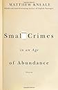 Small Crimes In An Age of Abundance