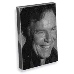 BRUCE GREENWOOD - Canvas Print (A4 - Signed by the Artist) #js002