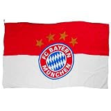 FC BAYERN MUENCHEN AG Fahne 60x40cm Logo rot/weiß