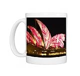 Festival of Light, Sydney Opera House, UNESCO World Heritage Site, Sydney, New Photo Mugs