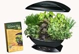 Kitchen & Housewares : AeroGarden Gourmet Herb Seed Kit