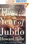 Year of Jubilo: A Novel of the Civil War