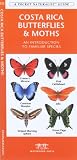 Costa Rica Butterflies & Moths: An Introduction to Familiar Species (International Nature Guides)