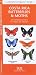 Costa Rica Butterflies & Moths: An Introduction to Familiar Species (Pocket Naturalist)