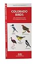 Colorado Birds