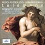 Telemann : Concertos pour cordes