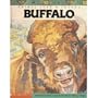 Animal Lore and Legend: Buffalo (Animal lore & legend)