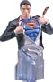 Superman Returns Clark Kent Bust