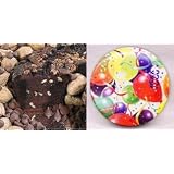 All Star Chocolate 10" Coffee Cake Celebration Gift Tin by Coffee Cake