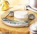 Salter Modern Glass Platform Kitchen Scale