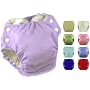 Swaddlebees Snap Pocket Cloth Diaper with Organic Velour