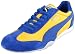 417MMGEAYaL. SL75  The history of Pumas development