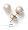 14k Yellow Gold Freshwater Cultured Pearl 6.0-6.5mm Earrings
