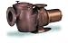 Pentair 347945 C Series Commercial Bronze Pump 10 Horsepower Three-Phase 200/208 Volt...