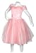 Barbie Princess Dress: Pink with Mesh Skirt and Sleeves