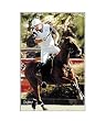 Unisex "Polo" Equestrian Riding Jeans