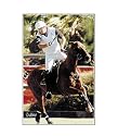 Unisex "Polo" Equestrian Riding Jeans