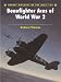 Beaufighter Aces of World War 2 (Aircraft of the Aces)