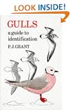 Gulls: A Guide to Identification
