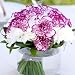 Send Fresh Cut Flowers - Carnation Centerpiece (3pc) - Purple & White
