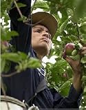  : Unsettling Europe: Migrant Workers, Refugees and Political Exiles