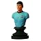 Diamond Select Toys Star Trek Icons Commander Spock Bust