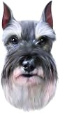 Schnauzer Bumper Magnet2008