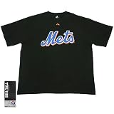 New York Mets BIG Team Name T-Shirt by Majestic Athletic