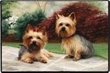 Pet Mat - 18.0 x 27.0 - Yorkies