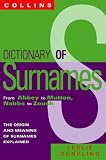 Dictionary of Surnames (Dictionary)