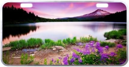 11.8" X 6.1" Anticorrosive and Beautiful Landscapes Metal Car License Plate Silver Trim