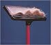 The Universal Rug Rake