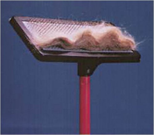 The Universal Rug Rake