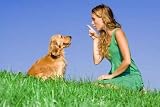 Dog Pet Training, Scolding and Playing - 48