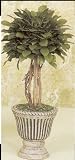 14 EURO SM BALL BOXWOOD TOPIARY 3PC.