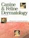 Books : Canine & Feline Dermatology: Diagnosis and Treatment