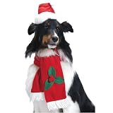 Santa Pet Hat  Scarf Costume