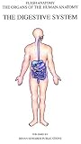 The Digestive System (Organs of the Human Anatomy) (Systems of Human Anatomy)