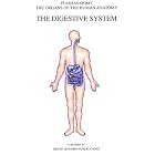 The Digestive System (Organs of the Human Anatomy) (Systems of Human Anatomy) by  Thomas Braem