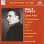 Richard Tauber: Opera Arias [Recorded 1919-1926]